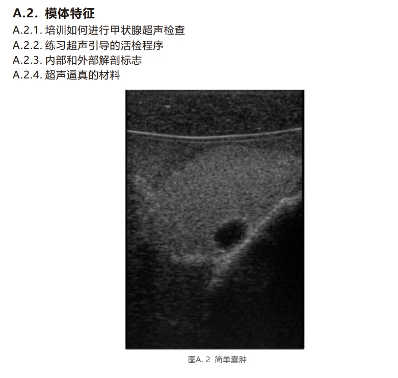 甲状腺超声模体2