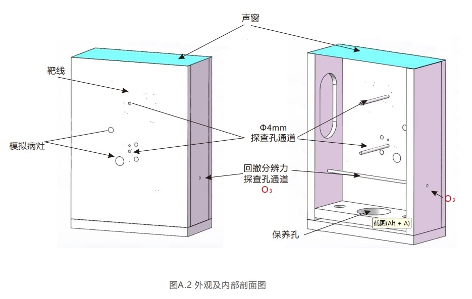 腔内扫查超声模体2