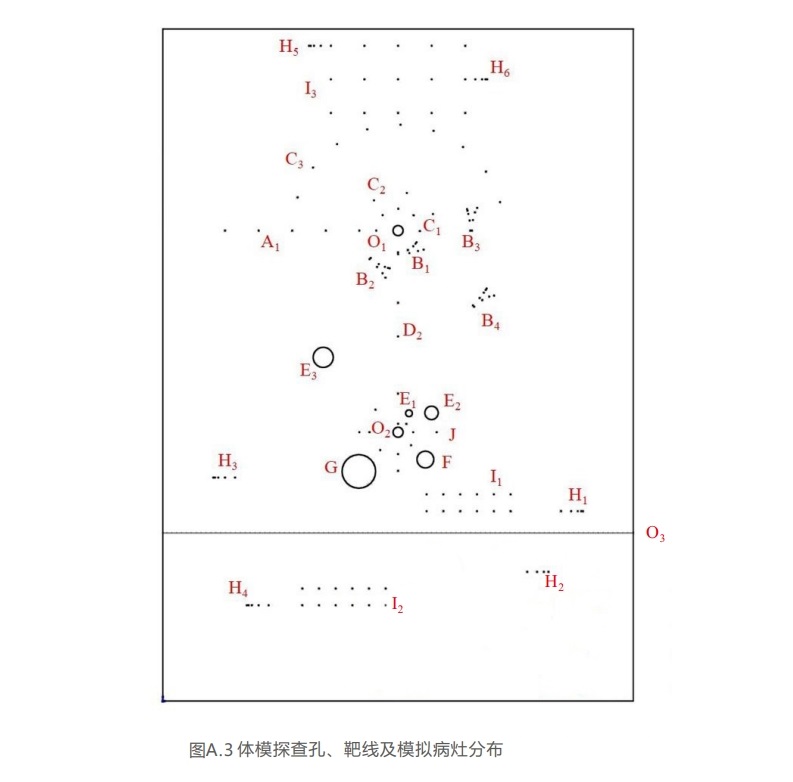 腔内扫查超声模体7