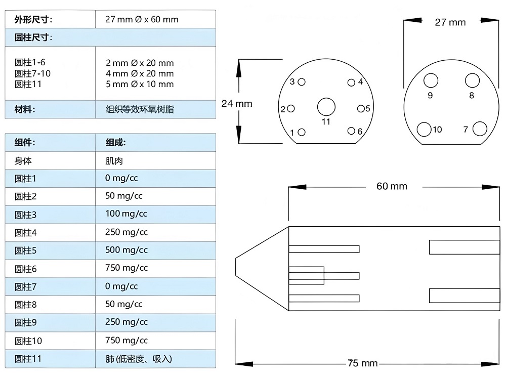 小鼠模型 3