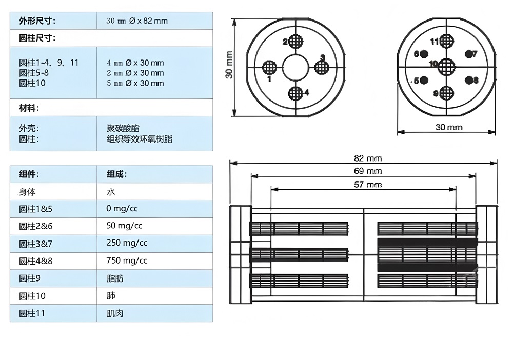 小鼠模型 5